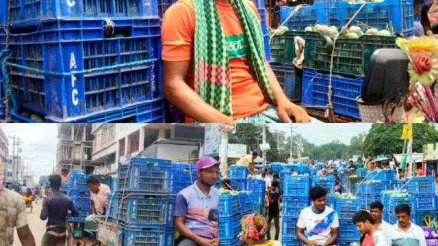 নওগাঁয় আম উৎপাদনের বিশেষ খ্যাতি অর্জন করেছে,কৃষকের পাশাপাশি ভাগ্য বদলেছে নানা পেশার মানুষ