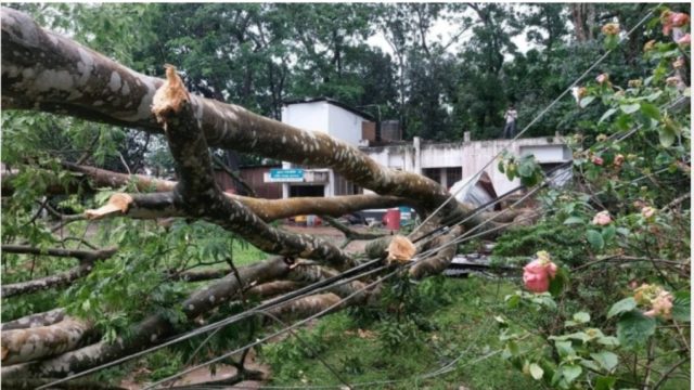 হবিগঞ্জে কালবৈশাখীর বজ্রপাত ও ঝড়-তুফানে ৩ জনের প্রাণহানী।