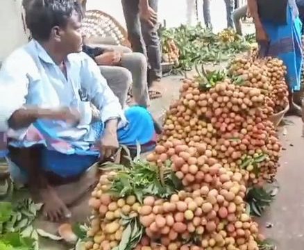 ব্রাক্ষণবাড়িয়া বিজয়নগরের লিচু দেশের চাহিদা মিটিয়ে এবার বিদেশের পথে।
