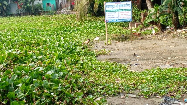 বিজয়নগর উপজেলায় পুকুরের বায়না নিয়ে বিরোধ, উভয় পক্ষের পাল্টাপাল্টি অভিযোগ।